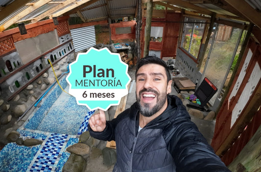 Mentoría Crea tu proyecto sustentable paso a paso