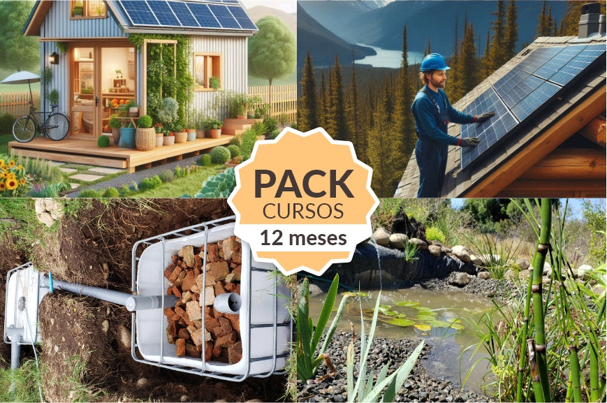 Pack: Todos los Cursos por 1 año
